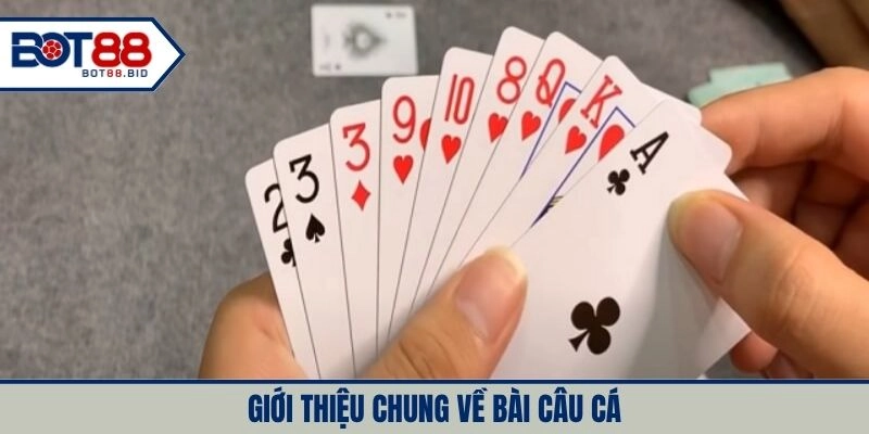 Bài câu cá trở thành trò chơi hấp dẫn thu hút đông đảo người chơi