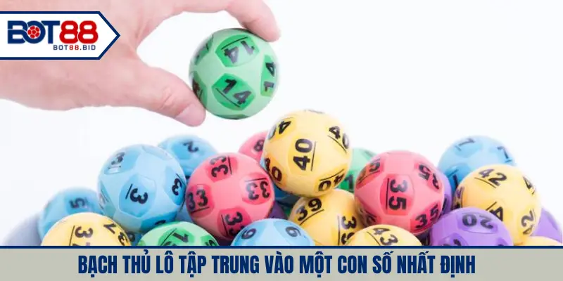 Bạch thủ lô tập trung vào một con số nhất định