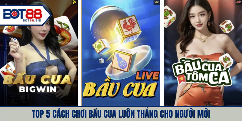 Cách chơi bầu cua luôn thắng cho người mới