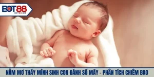 nằm mơ thấy mình sinh con đánh số mấy